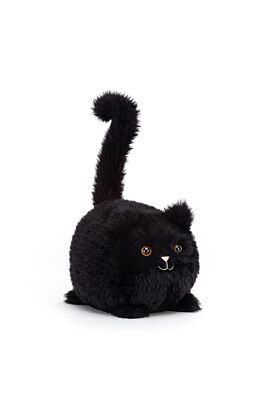 Kitten Caboodle