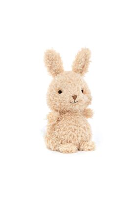 Little Bunny