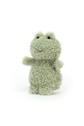 Little Frog