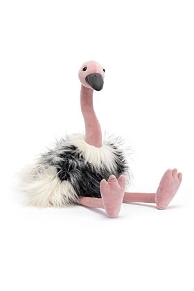 Ramonda Ostrich