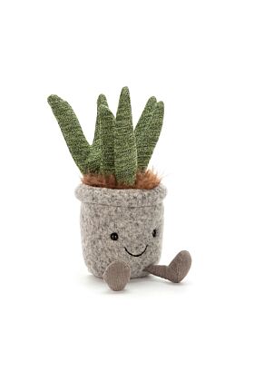 Silly Succulent Aloe
