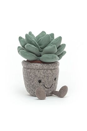 Silly Succulent Azulita