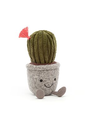 Silly Succulent Barrel Cactus