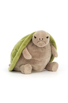 Timmy Turtle