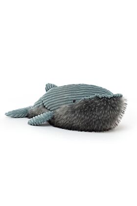 Wiley Whale