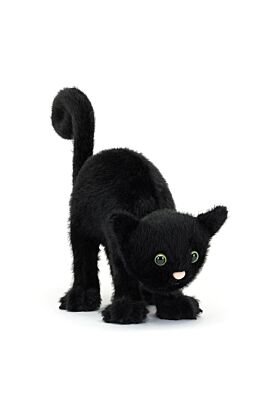Spookipaws Cat